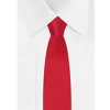 Jacob Alexander Boys' 14" Solid Color Pre-Tied Zipper Neck Tie - 4 of 4