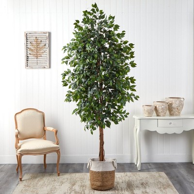 8ft Tall Ficus Artificial Tree with Cotton and Jute Planter