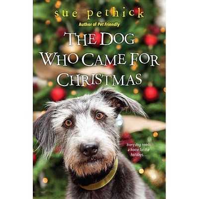 The Dog Who Came for Christmas - by  Sue Pethick (Paperback)