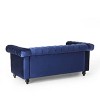 Brinkhaven Modern Glam Tufted Velvet Loveseat with Nailhead Trim - Christopher Knight Home - image 3 of 4