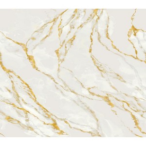 Veer Decor Marble Mirage Wall Mural - 1 of 2