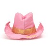 The Worthy Dog Cowboy Party Hat - 2 of 4