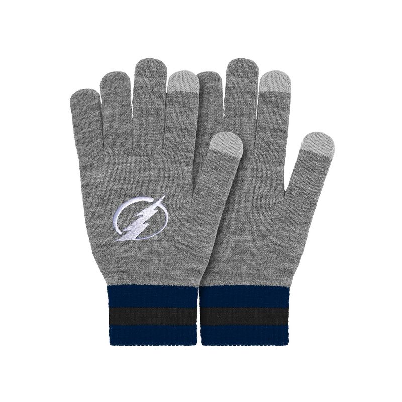 NHL Tampa Bay Lightning Gray Big Logo Glove, 1 of 5