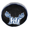 NCAA 15" Idol Cloud Pillow Hampton Pirates - 3 of 4
