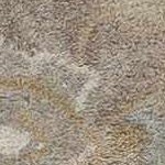 ivory, tan, taupe, pale blue, light brown