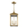Livex Lighting Nyack 3 - Light Pendant in  Antique Brass - 2 of 4