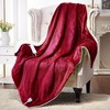 Whizmax Heated Blanket Electric, Soft Thickened Flannel Fast Heating Blanket - 3 of 4