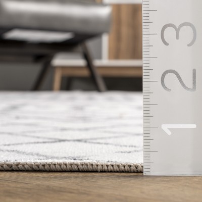 Eco-Friendly Reversible Gray Synthetic Area Rug, 3' x 5'