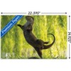 Trends International The Comedy Wildlife Photography Awards: Otter Kwek - Ballerina Unframed Wall Poster Prints - 3 of 4