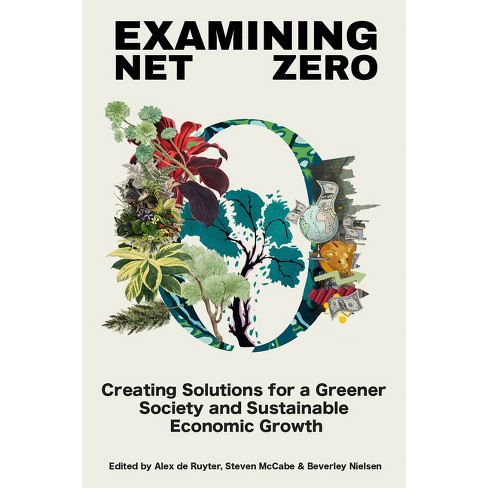 Examining Net Zero - by  Alex de Ruyter & Steven McCabe & Beverley Nielsen (Hardcover) - image 1 of 1