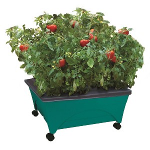 Emsco Little Pickers Raised Bed Children's Grow Box Rectangular Outdoor Planter Teal Green 24"x20"x30": Kids Gardening Accessory - 1 of 4