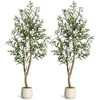 Olive Trees Artificial Indoor, 5ft Tall Faux Silk Plant - Fake Potted Tree with White Planter, Artificial Plants - 2 of 4