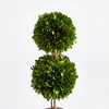 Plum & Post Boxwood Double Sphere Topiary Drop-In 20" - 2 of 4