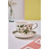 Portmeirion Botanic Garden 6 in Coupe Plate - Set of 4, Poppy Motif, Porcelain, Chip-Resistant Glaze, Dishwasher, Warm Oven, Microwave, Freezer Safe - image 3 of 4