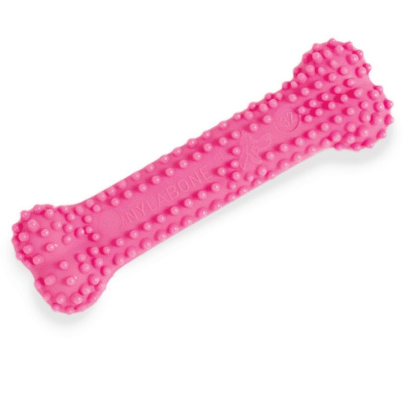 Nylabone Puppy Chew Dental Bone Chew Toy - Pink (3.75"), 2 of 6