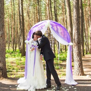 1pc/2pcs 70*550cm,Elastic Chiffon Arch Drapery For Wedding Decoration Stage Background Cloth Gauze Curtain - 1 of 4