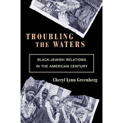 Troubling the Waters - (Politics and Society in Modern America) by  Cheryl Lynn Greenberg (Paperback)