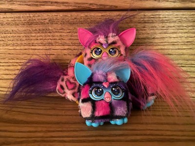 Guest review image 4 of 4, zoom in