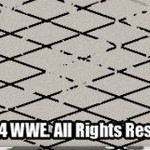 stone cold steve austin