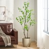 XINGHANZHENXUAN Artificial Disc Leaf Tree, Pre-Potted Faux Enkianthus Plant with Lifelike Foliage, Low-Maintenance Greenery for Home & Office - 3 of 4