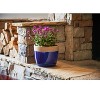 Southern Patio 8" Ana Planter in Navy Finish (2 Pack) - Southern Patio - image 3 of 3