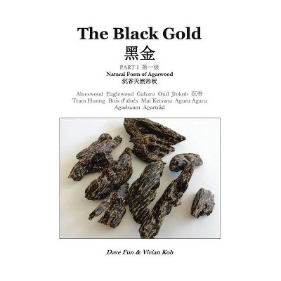 The Black Gold, Part I. - by  Dave Fun & Vivian Koh (Paperback)