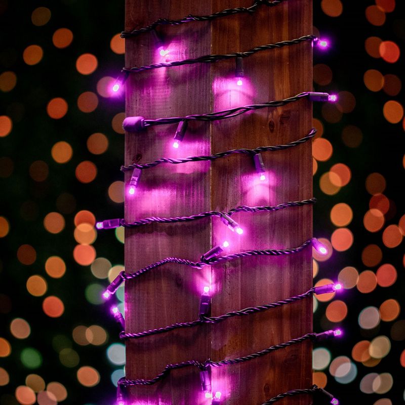 Novelty Lights 50 Light LED Christmas Mini Light Set (Black Wire, 11 Feet), 4 of 7