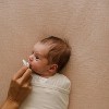 embe Newborn Binnie Retractable Silicone Pacifier (0-18 Months) - 2 of 4