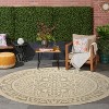 Nourison Tulum Persian Indoor/Outdoor Rug - 2 of 4
