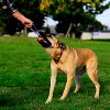 Chuckit! Ultra Tug Dog Toy Ball - Medium - 2 of 4
