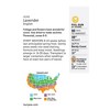 Burpee Lavender English Herb Seeds - 2 of 2