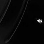 50black+yellow+yellow