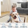 Bordered Area Rugs for Living Room, Modern Machine Washable Non Slip Low Pile Rug for Dining Room Home Office - 4 of 4