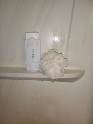 Guest review image 1 of 1, zoom in