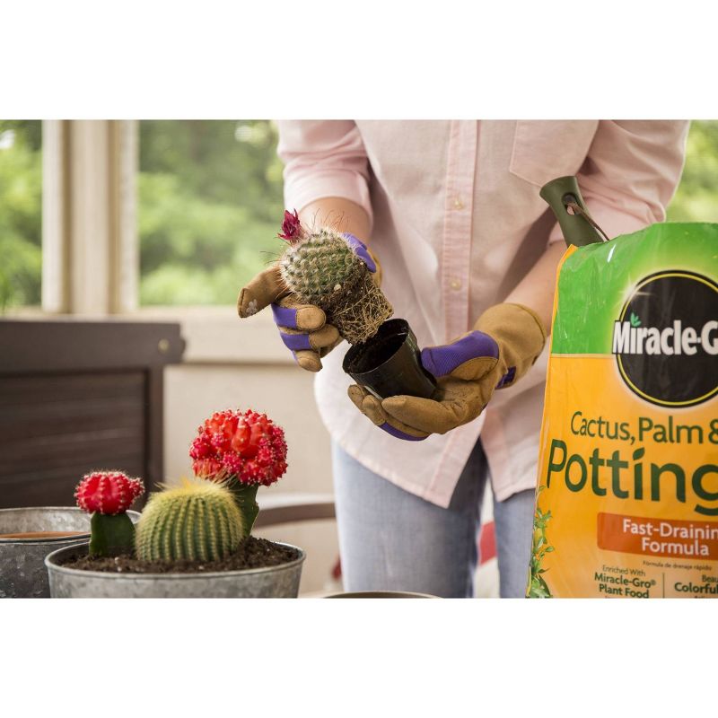 Miracle-Gro Cactus Palm Citrus Potting Soil - 8qt, 6 of 9