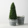 Sullivans Artificial Cedar Tree 22"H Green - 3 of 4