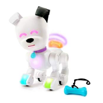 Lexibook - Powerman Jr. Smart Interactive Toy That Reads in The Mind Toy  for Kids Dancing Plays Music Animal Quiz STEM Programmable Remote Control  Boy Robot Junior Green/Blue - ROB20EN : Toys & Games 
