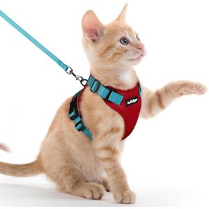 rabbitgoo Cat Harness and Leash for Walking, Escape Proof Soft Adjustable , Easy Control Breathable Reflective Strips Jacket, Red & Teal, XXS - 1 of 1