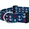 Country Brook Petz 1 1/2 Inch Deluxe Dog Collar - Summer Breeze Collection - 4 of 4