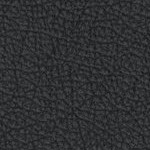 minnesota golden gophers