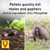 Victor Mole & Gopher Poison Peanuts – Effective and Easy-to-Use Pest Control Solution for Moles and Gophers, 6oz - 2 of 4