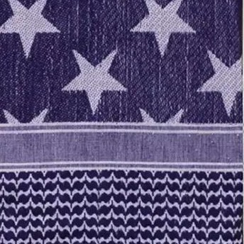 usa flag