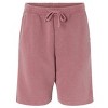 EG PRO Pigment-Dyed Fleece Shorts - 3 of 4