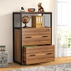 Tribesigns 2 Drawer Lateral File Cabinet - 2 of 4