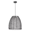 Craftmade Lighting 1 - Light Pendant in  Matte Black - 2 of 3