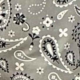 rodeo bandana - grey