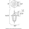 Maxim Lighting Cast 1 - Light Wall Light in  Black - 2 of 2