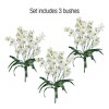 Collections Etc Artificial Tree Orchids - Set of 3 NO SIZE Purple - 4 of 4