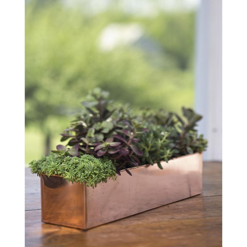 Gardener's Supply Company Rectangular Copper-Coated Stainless Steel Plant Tray | Leakproof Protects Surfaces Indoor Outdoor Plant Flower Succulent, 3 of 6