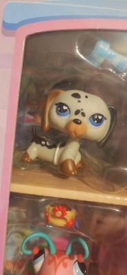 Guest review image 2 of 2, zoom in